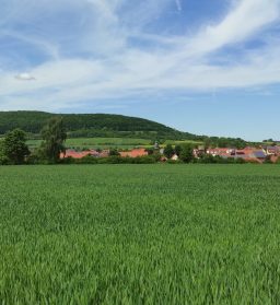 Leben auf dem Land